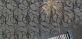 LarissaNOBS4 Kopie C1